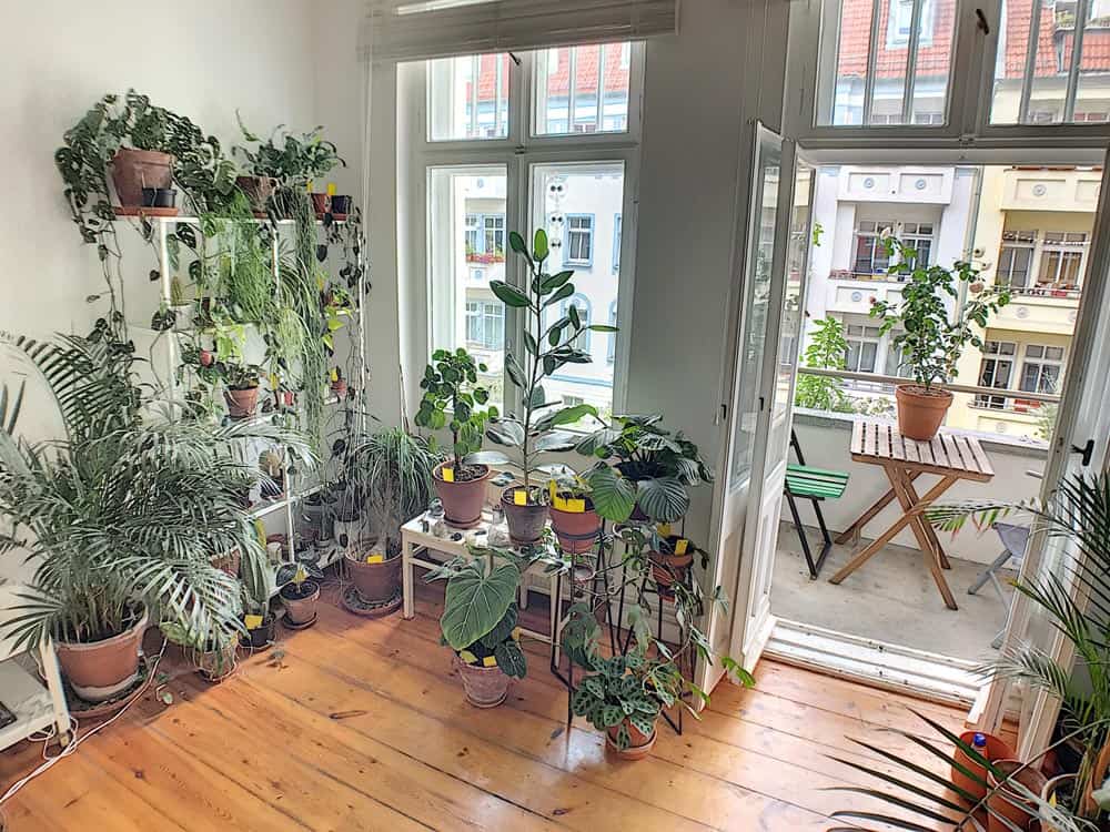 Dirschauer Straße 16-Zimmer-strassenseitig