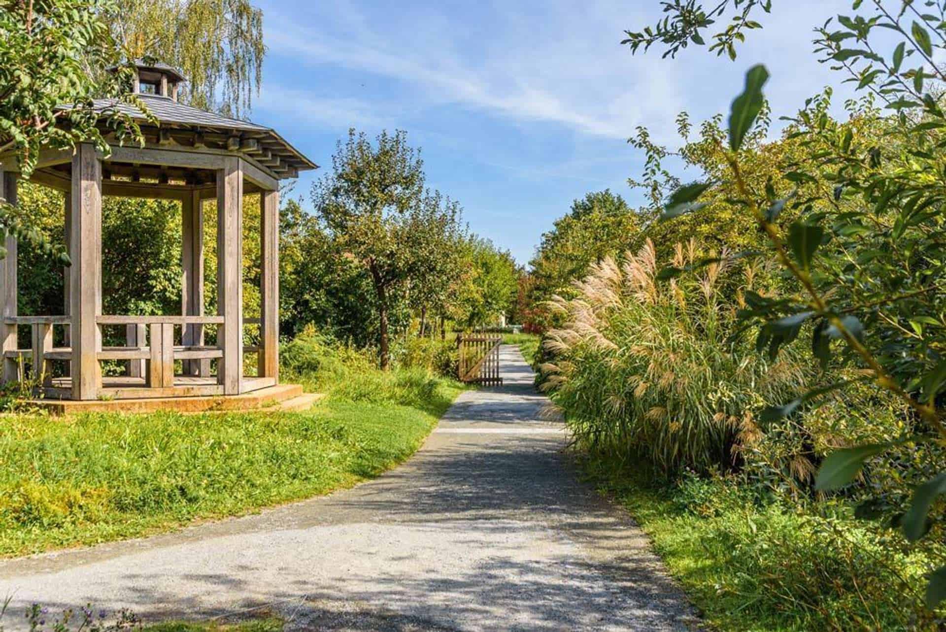 Umgebung-Comenius-Garten