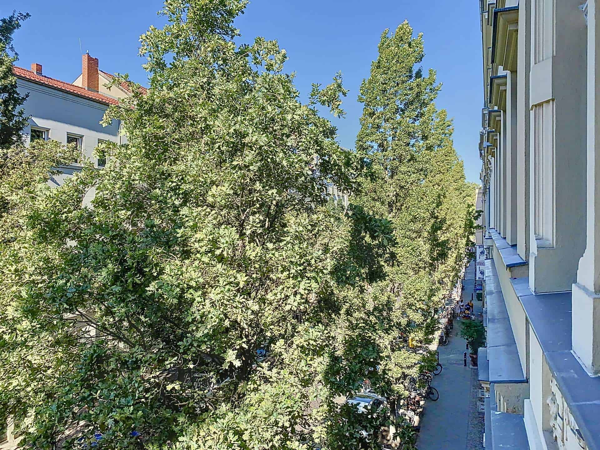 Blick in die Bergstraße mit schönem Baumbestand