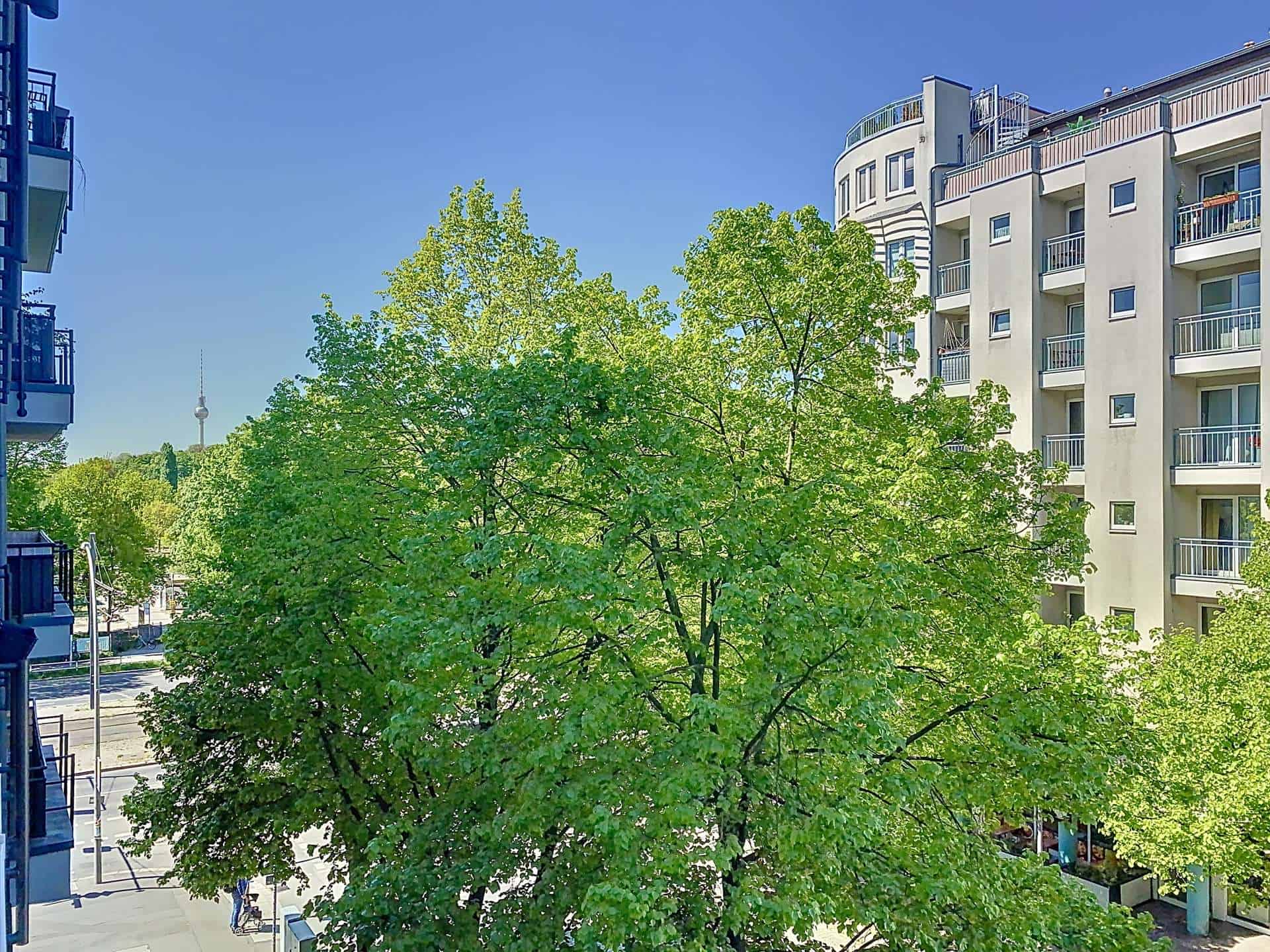 Seitlicher Parkblick