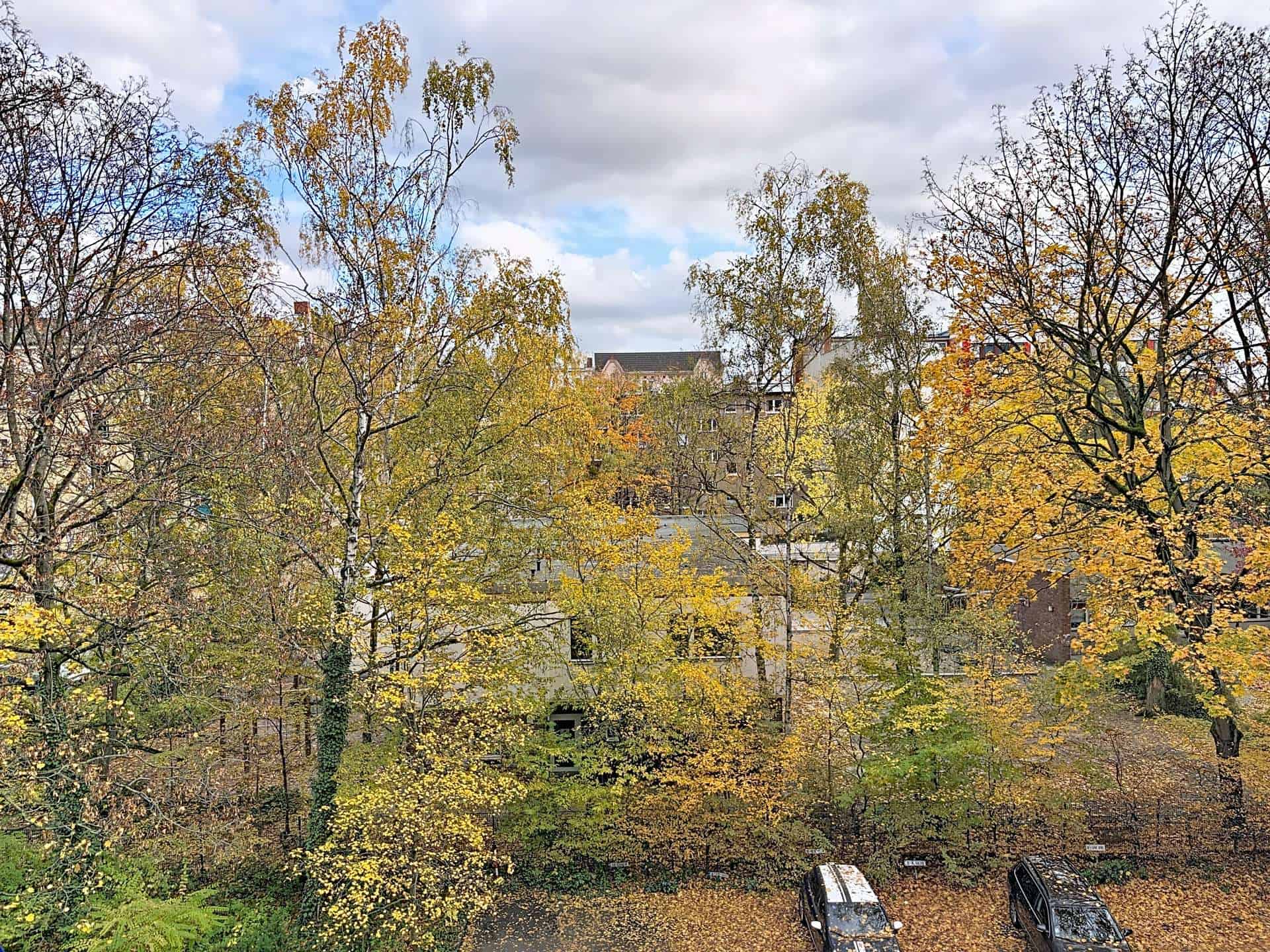 Ausblick zum ruhigen und grünen Innenhof